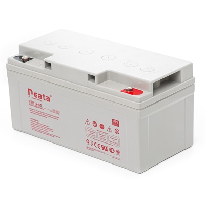 Аккумуляторная батарея Neata NTH 12-55