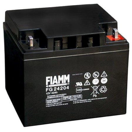 Аккумуляторная батарея FIAMM FG24204